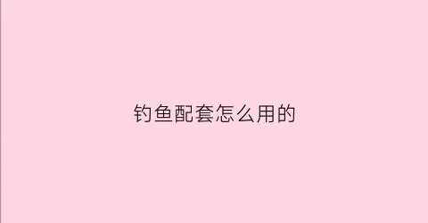 钓鱼配套怎么用的(钓鱼配件怎么组装图解)
