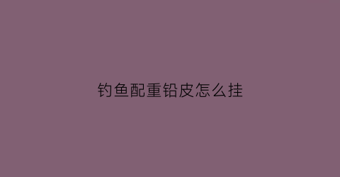 钓鱼配重铅皮怎么挂(钓鱼配重铅皮怎么挂钩视频)