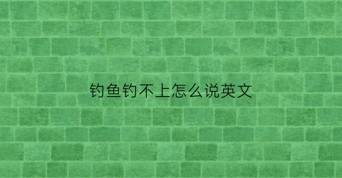 “钓鱼钓不上怎么说英文(钓鱼钓不上怎么说英文呢)