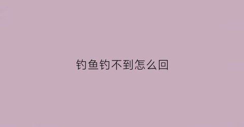钓鱼钓不到怎么回(钓鱼钓不到怎么回复别人)