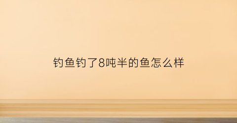 钓鱼钓了8吨半的鱼怎么样(钓鱼钓了8吨半的鱼怎么样才能钓到)