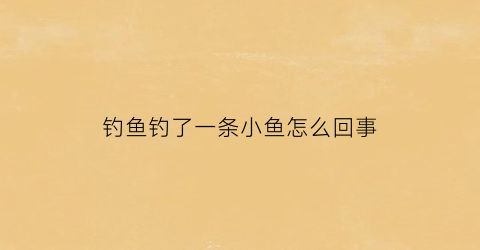 “钓鱼钓了一条小鱼怎么回事(钓鱼钓了一条小鱼怎么回事啊)