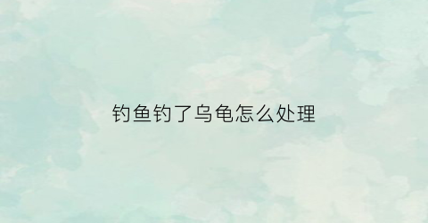 钓鱼钓了乌龟怎么处理(钓鱼钓了一只乌龟有什么好兆头)