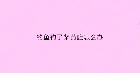 钓鱼钓了条黄鳝怎么办(钓鱼钓了条黄鳝怎么办视频)