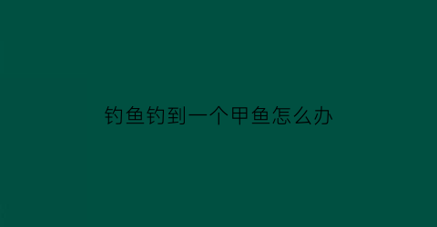 钓鱼钓到一个甲鱼怎么办(钓鱼钓了一个甲鱼有什么忌讳)