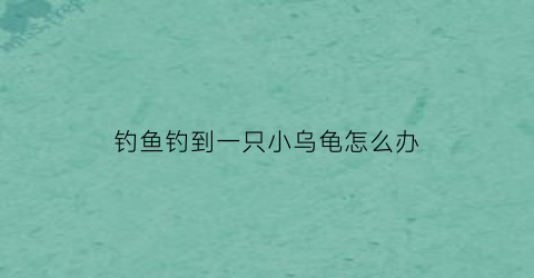 钓鱼钓到一只小乌龟怎么办(钓到了乌龟)