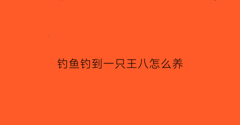 “钓鱼钓到一只王八怎么养(钓到王八有什么寓意)