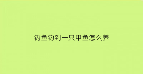 钓鱼钓到一只甲鱼怎么养(钓了一只甲鱼可以养活吗)
