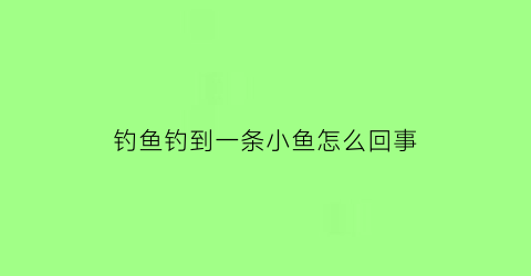 “钓鱼钓到一条小鱼怎么回事(钓鱼钓到一条小鱼怎么回事啊)