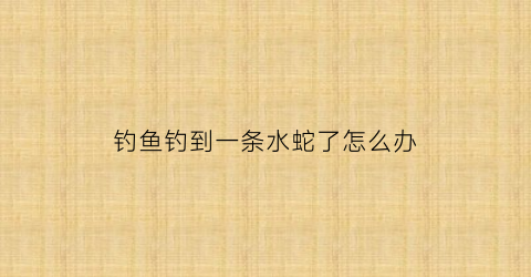 钓鱼钓到一条水蛇了怎么办