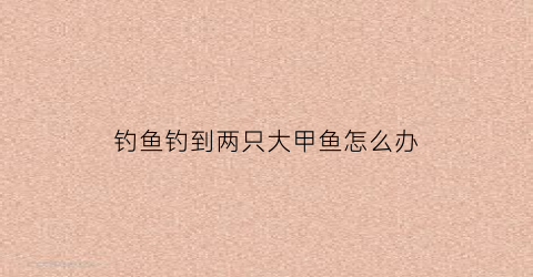 钓鱼钓到两只大甲鱼怎么办(钓到一条甲鱼怎么办)