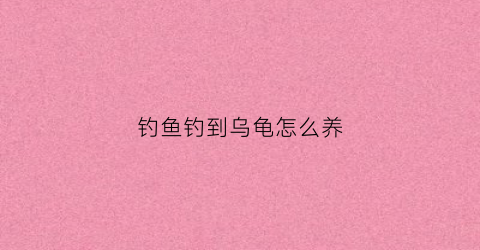 钓鱼钓到乌龟怎么养(钓鱼钓到乌龟是好运还是坏运)