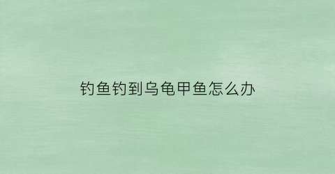 钓鱼钓到乌龟甲鱼怎么办(钓到乌龟有什么征兆)