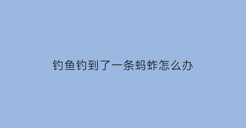钓鱼钓到了一条蚂蚱怎么办(钓鱼钓到了一条蚂蚱怎么办视频)