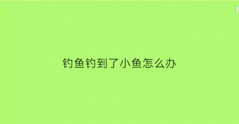 钓鱼钓到了小鱼怎么办(钓到小鱼的心情说说)