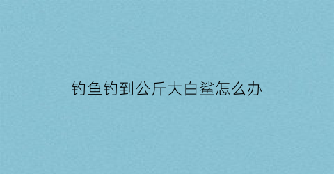 钓鱼钓到公斤大白鲨怎么办(钓鱼发烧友钓大白鲨)