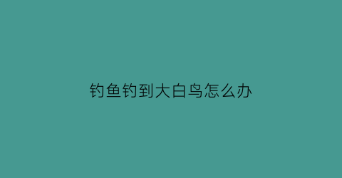 钓鱼钓到大白鸟怎么办(钓鱼钓到大白鸟怎么办啊)