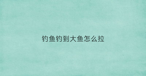 钓鱼钓到大鱼怎么拉(钓鱼中大鱼怎么拉杆)