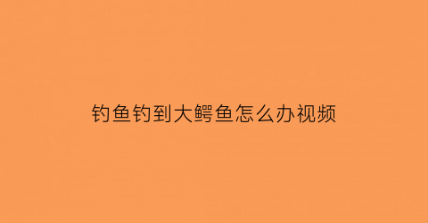 钓鱼钓到大鳄鱼怎么办视频(大鳄钓鱼是什么意思)