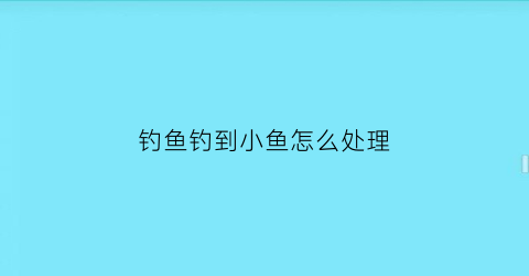 钓鱼钓到小鱼怎么处理(钓鱼遇见小鱼怎么处理)