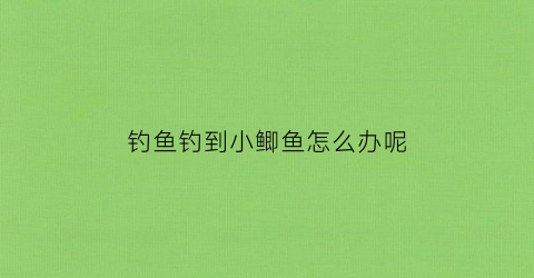 钓鱼钓到小鲫鱼怎么办呢(掉小鲫鱼)