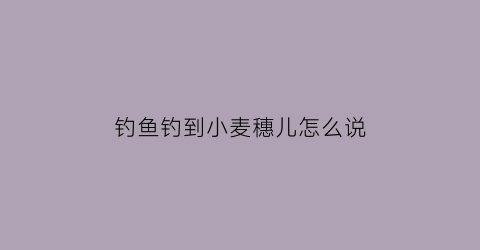 钓鱼钓到小麦穗儿怎么说(野钓小麦穗太多怎么办)