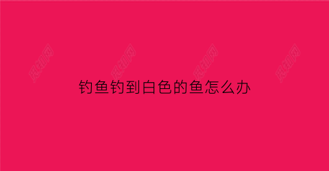 “钓鱼钓到白色的鱼怎么办(钓鱼白色虫子叫什么名字)