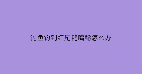 “钓鱼钓到红尾鸭嘴鲶怎么办(鸭嘴翘和红尾是一种鱼吗)