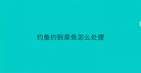 钓鱼钓到草鱼怎么处理(钓到大草鱼)
