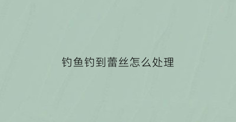 钓鱼钓到蕾丝怎么处理(钓鱼钓到鱼雷)