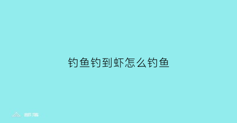 钓鱼钓到虾怎么钓鱼(钓鱼上虾)