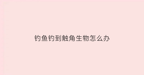 “钓鱼钓到触角生物怎么办(钓到的鱼身上有伤是怎么回事)