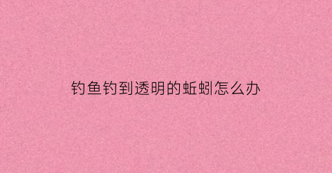钓鱼钓到透明的蚯蚓怎么办(钓鱼钓到透明的蚯蚓怎么办视频)