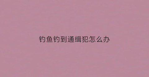 钓鱼钓到通缉犯怎么办(钓鱼被发现怎么办)