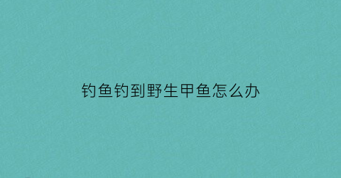 钓鱼钓到野生甲鱼怎么办(钓鱼钓到野生甲鱼怎么办呢)