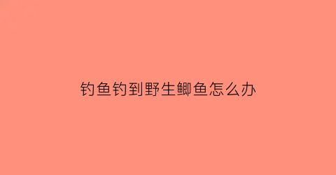 钓鱼钓到野生鲫鱼怎么办