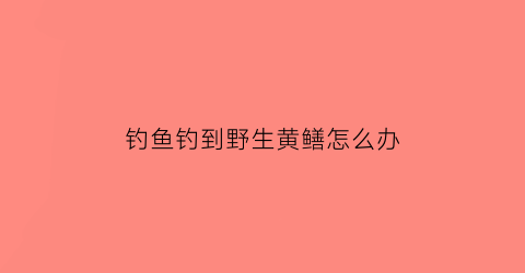 钓鱼钓到野生黄鳝怎么办(钓野生黄鳝犯不犯法)
