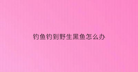 钓鱼钓到野生黑鱼怎么办(钓鱼钓到野生黑鱼怎么办视频)