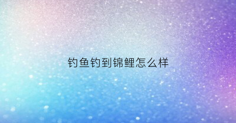 钓鱼钓到锦鲤怎么样(钓鱼钓到锦鲤好吗)