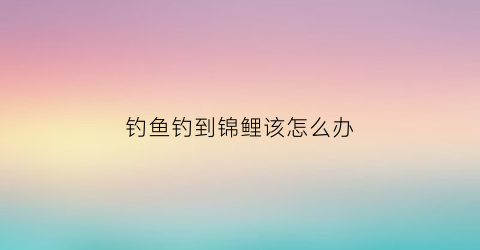 钓鱼钓到锦鲤该怎么办(钓到锦鲤是凶是吉)