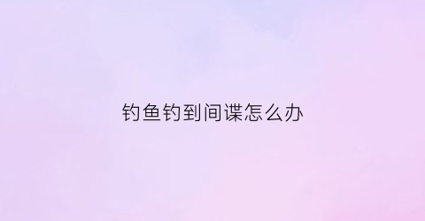 钓鱼钓到间谍怎么办(钓鱼钓到间谍怎么办啊)