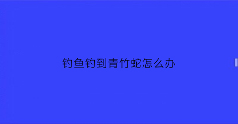 “钓鱼钓到青竹蛇怎么办(钓鱼钓到青竹蛇怎么办视频)