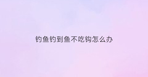 钓鱼钓到鱼不吃钩怎么办(钓鱼时鱼不吃食怎么办)