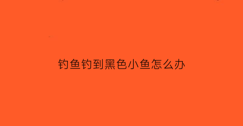钓鱼钓到黑色小鱼怎么办(钓到黑鱼有什么不好的说法么)