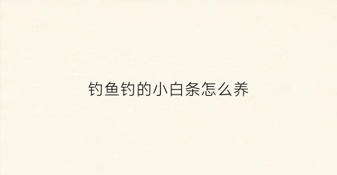 钓鱼钓的小白条怎么养(钓小白条鱼用什么饵料最好)