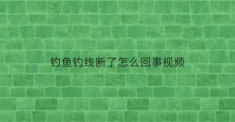钓鱼钓线断了怎么回事视频(钓鱼钓线断了怎么回事视频教学)