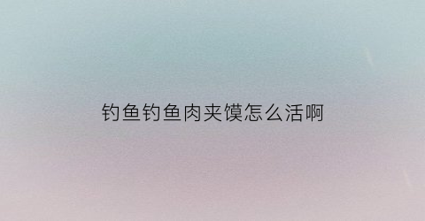 钓鱼钓鱼肉夹馍怎么活啊(钓饵肉夹馍)