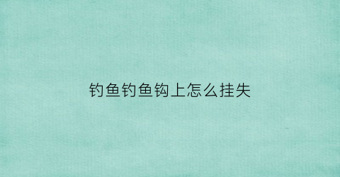 钓鱼钓鱼钩上怎么挂失(钓鱼鱼钩怎么挂鱼食)