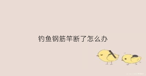 钓鱼钢筋竿断了怎么办(钢筋竿是什么意思)