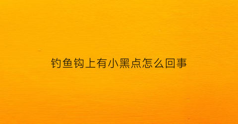 “钓鱼钩上有小黑点怎么回事(钓鱼钩上有小黑点怎么回事图片)